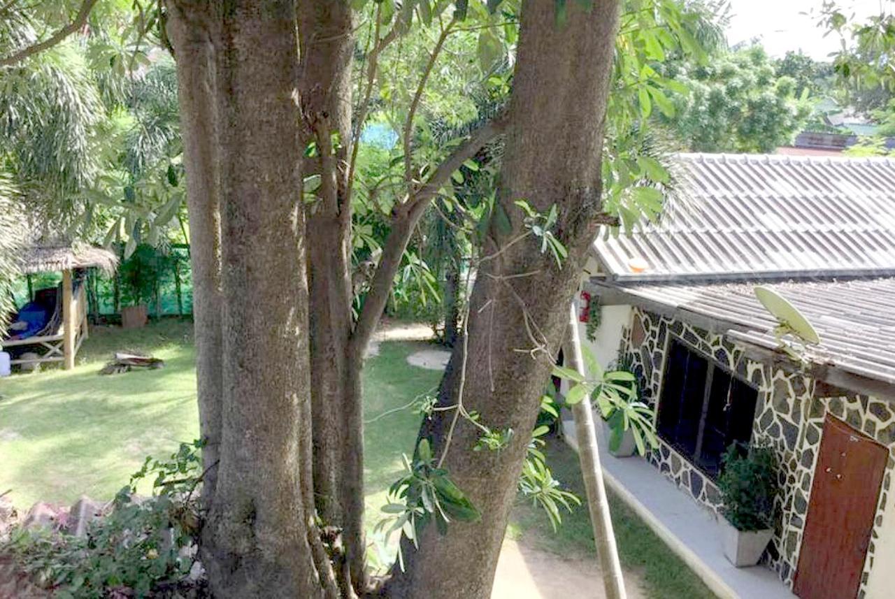 Wet! A Pool Party Hostel By Wild & Wandering Haad Rin Bagian luar foto